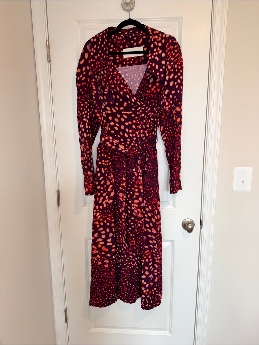 Dries Van Noten Roland Trench Long Sleeve Double Breasted Maxi Dress in Burgundy - Picture 5 of 10